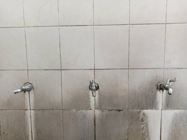 Best Professional water damage repair  in West Whittier Los Nietos, CA