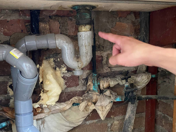 Best Ceiling water damage repair  in West Whittier Los Nietos, CA